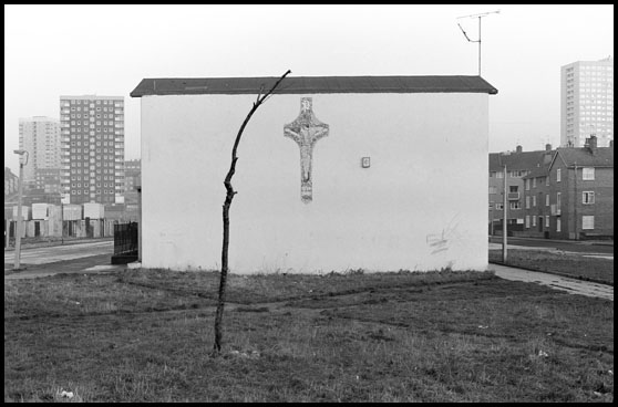 tree and cross